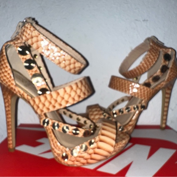 Scene - Picture 4 of 5